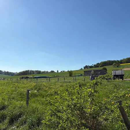 度假居 Weidelbach