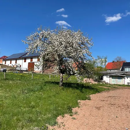 Weidelbach 度假居 *