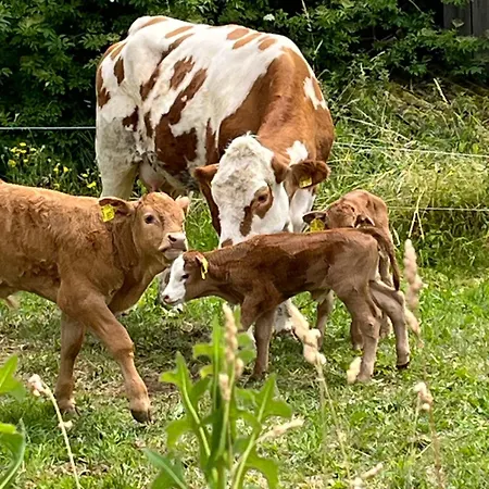 Weidelbach Spangenberg
