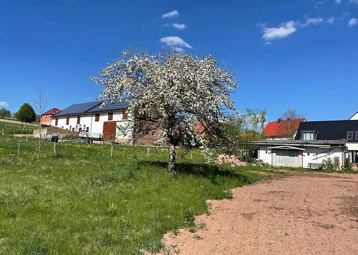 Weidelbach Σπίτι διακοπών *